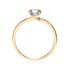 products/52786_d3f4b88a-a643-456a-a60d-b6b69250aaa7.png