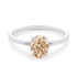 products/52815_9623275b-9832-4241-9826-442ddbc1f469.png