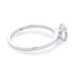 products/53097_0c309512-ab89-4596-8453-5ab7da6ec9eb.png