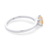 products/53122.png