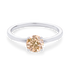products/53130.png