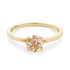 products/53135.png