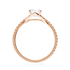products/53406_053836d5-feec-4c33-8ea2-da43f64a2afe.png