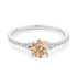 products/53435.png