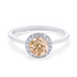 products/53550.png