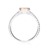 products/53751.png