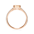 products/53756.png