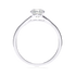 products/55071.png