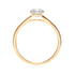 products/55076.png