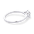 products/55082.png